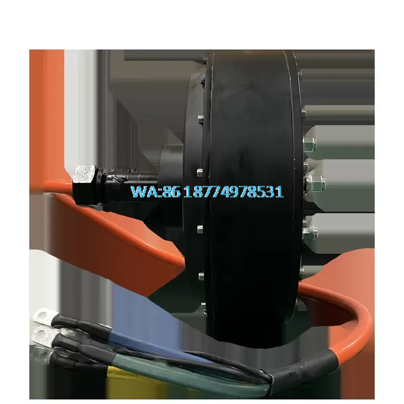Wmwmnu untuk QS 273 8000W 72V  - Qs Motor 273 8000W Hub Motor ulasan dan harga